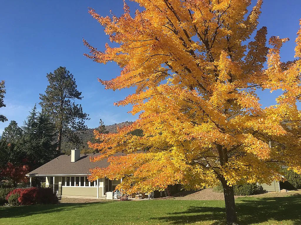 7491 Highway 238 photo 1