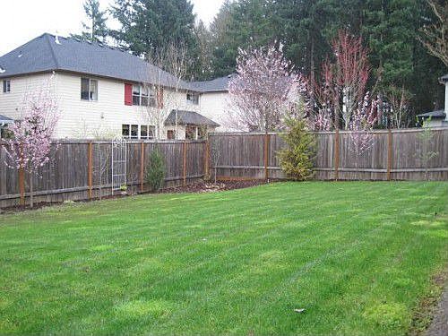 4th image of 17512 NE 34th St