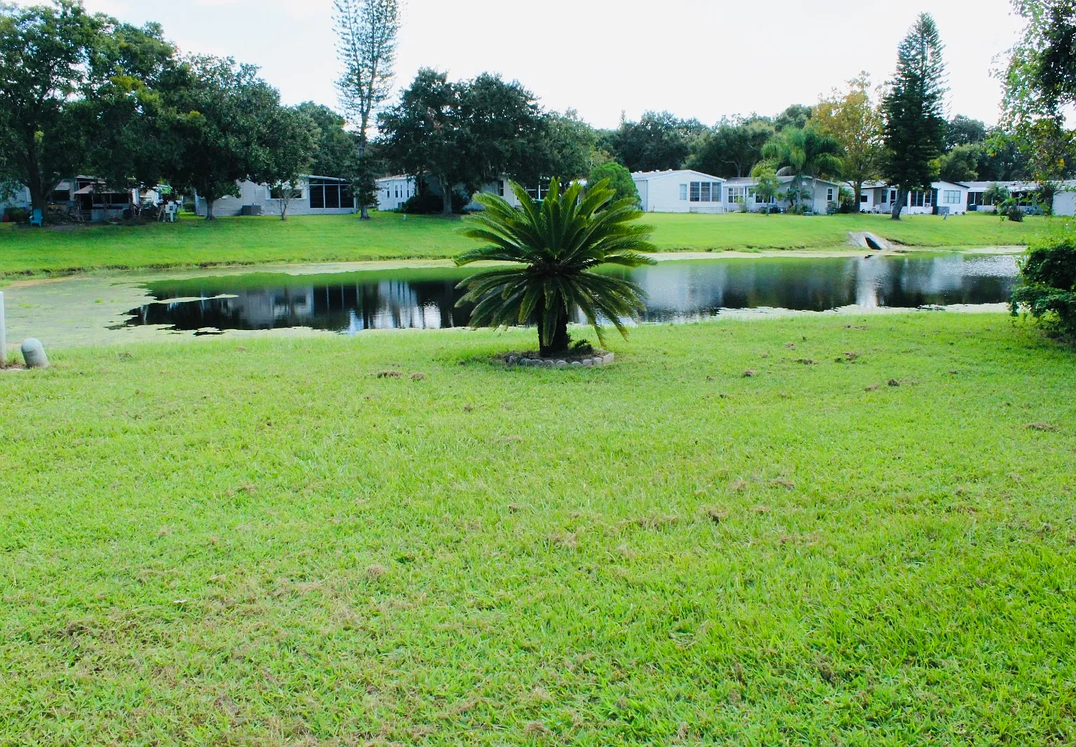 2 bed, 1320 sqft, $2,100 — Photo 3