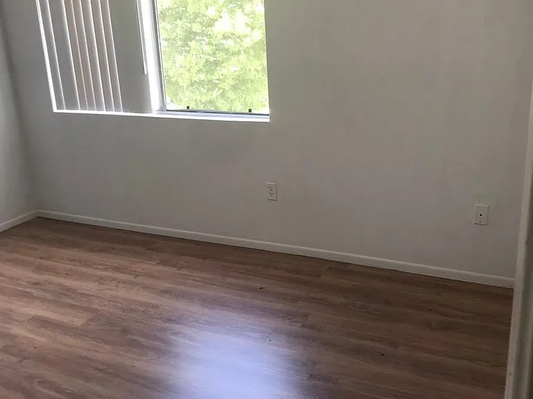 Libra Cir — Photo 5