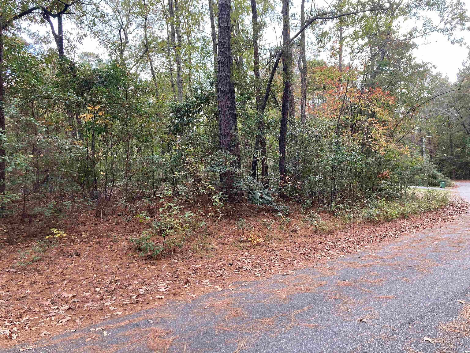 TBD 2 Pine Needle Circle Johnsonville SC 29555 MLS 2224445