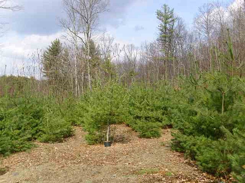 5th image of 424 E LAKE Road