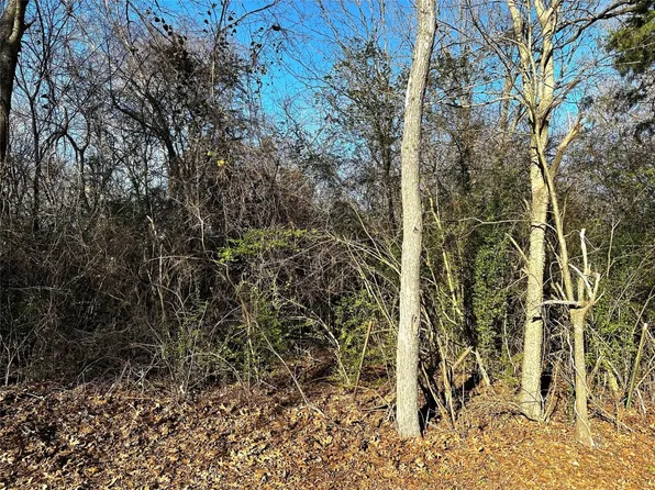 Moore St, Blossom, TX 75416