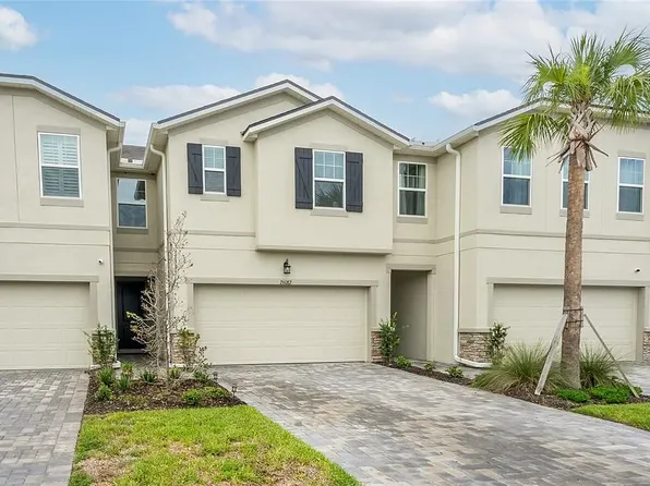 26082 Woven Wicker Bnd, Lutz, FL 33559