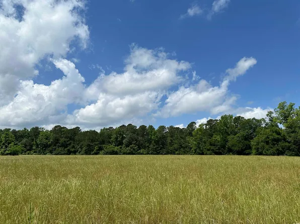 TBD Mary Rd., Greeleyville, SC 29056