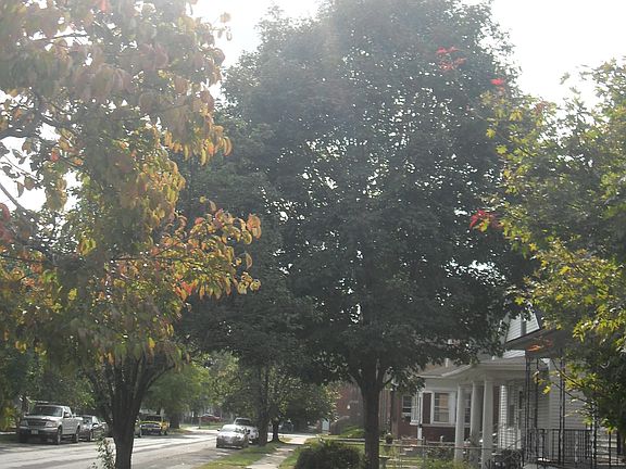 2nd image of 2319 Grand Ave
