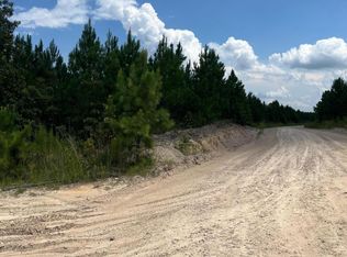 Bff 2b Brunson Teal Rd #BFF-2B, Patrick, SC 29584