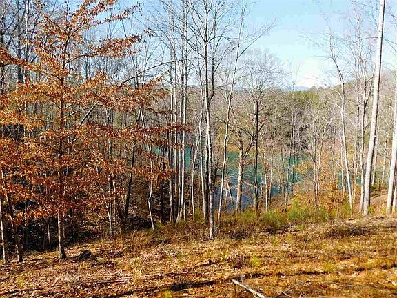 3rd image of 248 Piney Woods Trl
