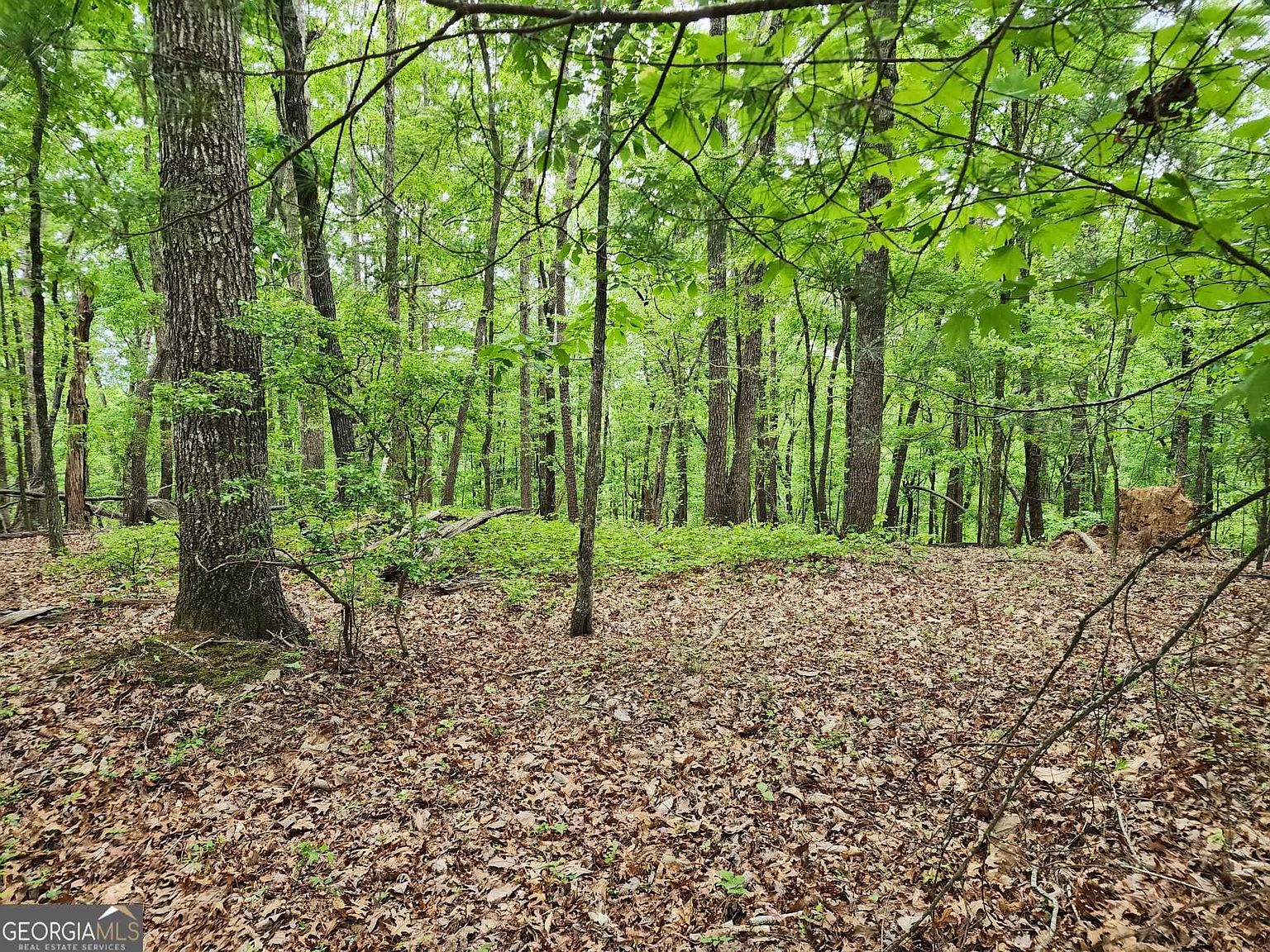 0 Whippoorwill Way, Baldwin, GA 30511 MLS 20072279 Zillow