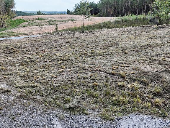 4th image of 4439 Old Hohenwald Rd Lot 60