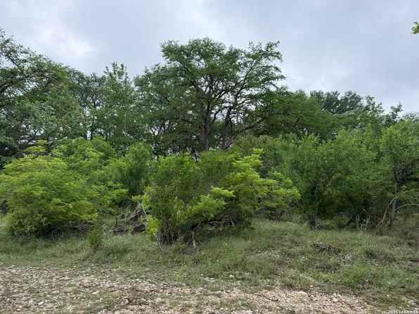 261 River Dr LOT 24, Rio Frio, TX 78879