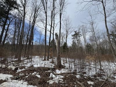 17 Chamberlain Drive, Salisbury, VT, 05769