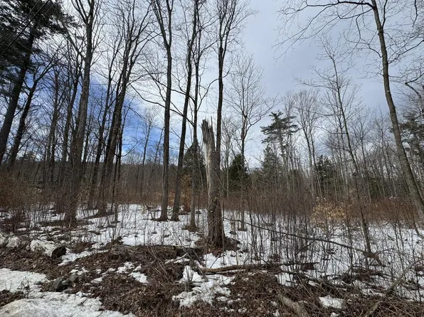 17 Chamberlain Drive, Salisbury, VT 05769