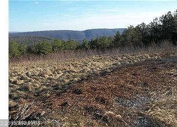 From the driveway - cleared area