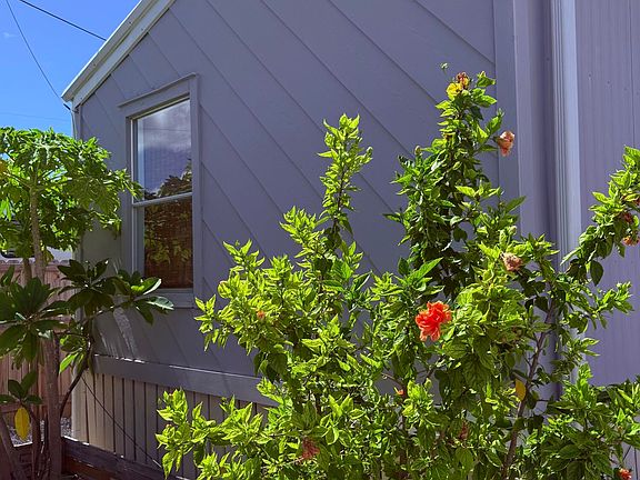 3rd image of 27960 Porgie Path