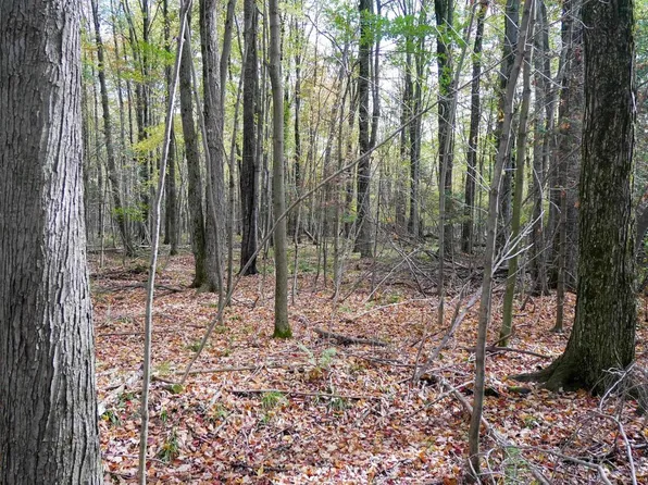 +/-28.65 Acres ORIOLE DRIVE, Medford, WI 54451