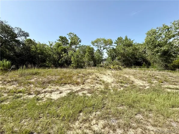 3371 W Seahorse Ln, Citrus Springs, FL 34433