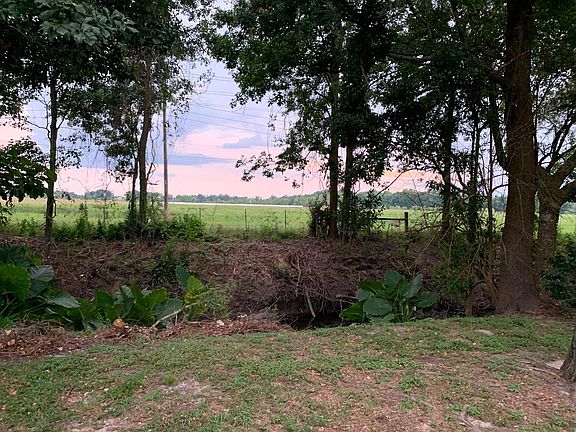 views from back terrace