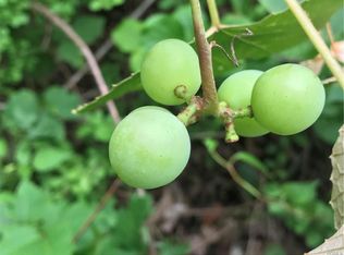 66 Country Hill Ln, Cold Spring, NY 10516