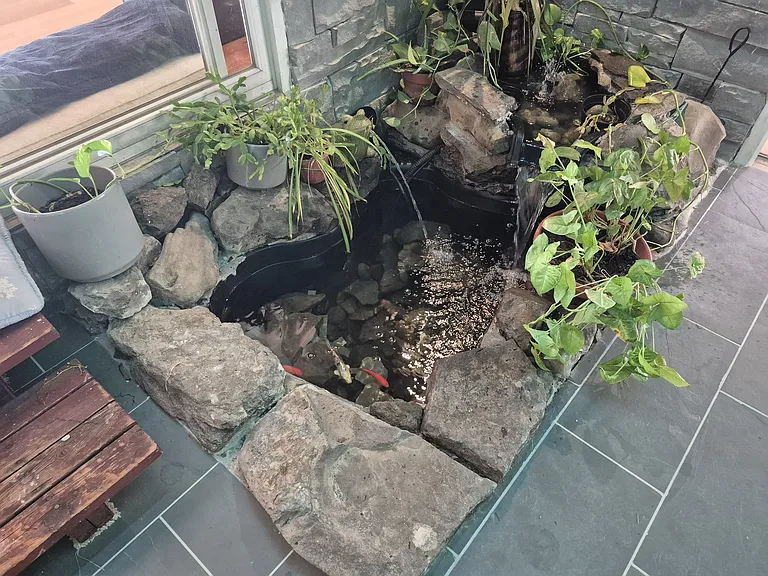 Fish Pond