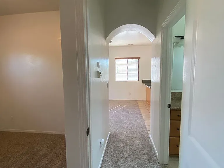 3769 Albatross St — Photo 7