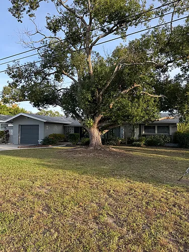 1031 Honeysuckle Rd Photo 1