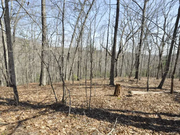 450 Whittlers Mountain Rd, Murphy, NC 28906