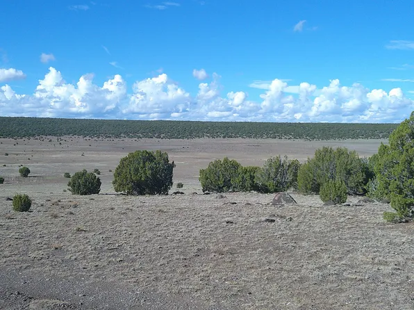 7 North Cres #8171, Concho, AZ 85924