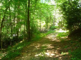 1058 Beech Mountain Rd, Elk Park, NC 28622