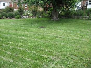 3rd image of 9104 Darlene Dr