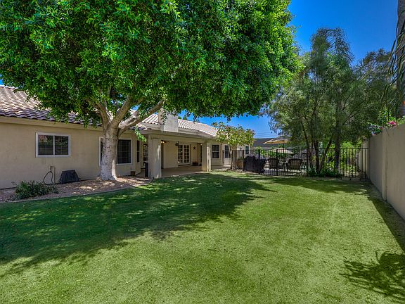 Throw a football or dog run!