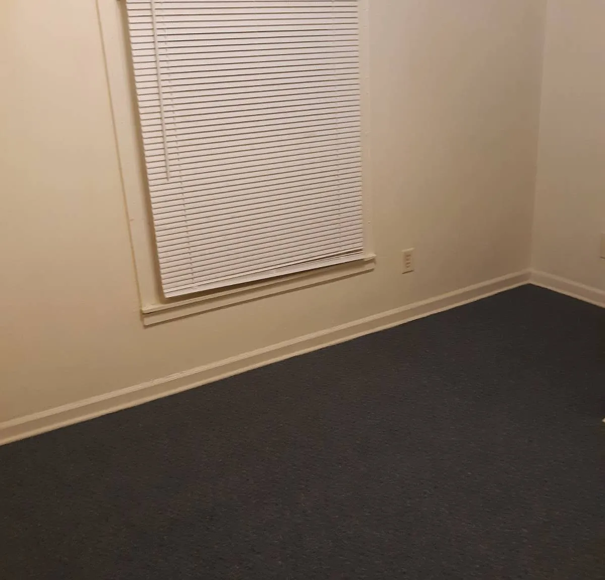 3 bed, 1.0 bath, $825 — Photo 4