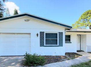 6781 298th Ave N, Clearwater, FL 33761