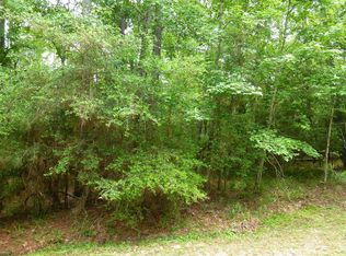 3 Sunny Hill Dr, Coldspring, TX 77331