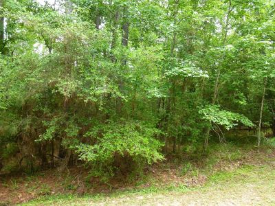 3 Sunny Hill Dr, Coldspring, TX, 77331