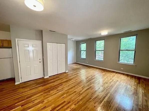 1069 N Hermitage Ave #3, Chicago, IL 60622