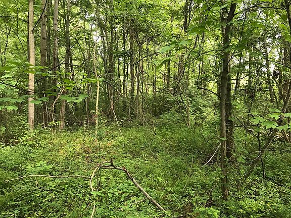 4th image of 1020 Clough Pike