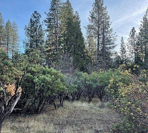 4th image of 6172 Shad Way