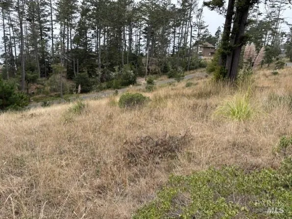 22101 Cypress Court, Timber Cove, CA 95450