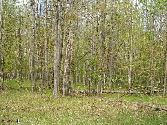 2nd image of 6802 White Pine Dr #23