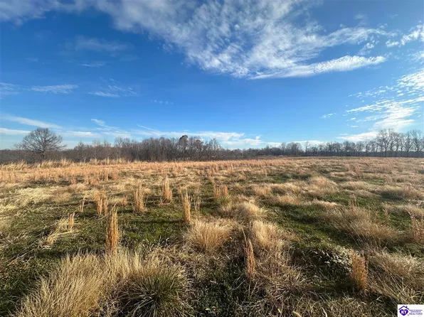 1555 Apple Jack Rd, Payneville, KY 40157