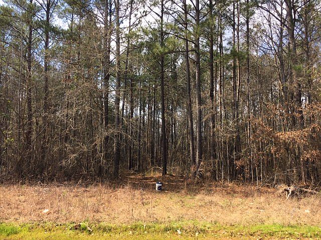 2nd image of 268 Riley Rd