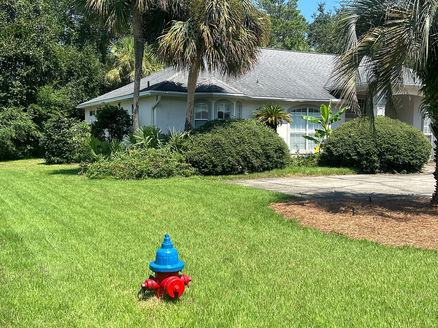 3 bed, 2515 sqft, $3,500 — Photo 3