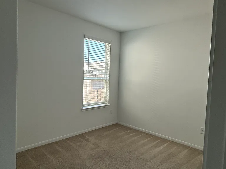 26334 Cedar Sedge Dr — Photo 27