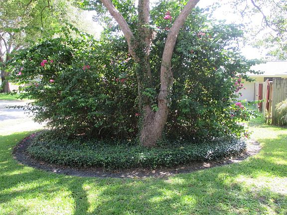 Landscaping