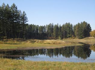 3299 Winterhawk Dr, Bigfork, MT 59911