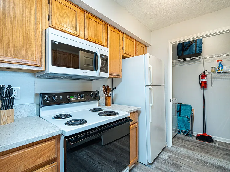 4080 Dancing Cloud Ct #237 — Photo 12