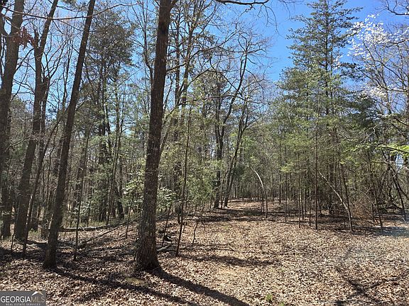 3rd image of 95 Black Bear Trl