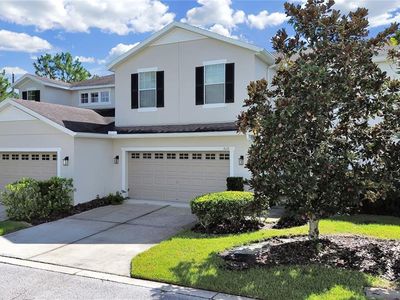 8116 Hampton View Ln, Tampa, FL, 33647