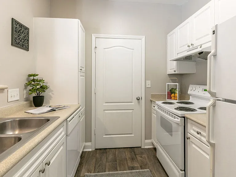 White Kitchen Appliances